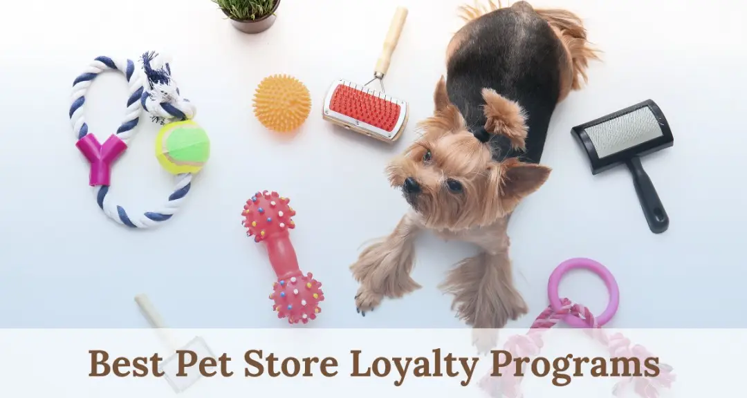 7 Best Pet Store Loyalty Loyalty Programs Purrfect for Customer Retention featured image